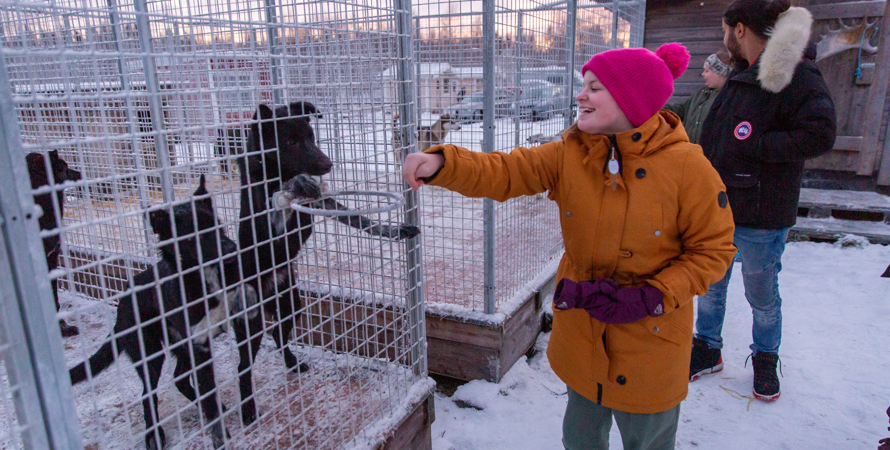 Person sträcker ut handen till hundar som står bakom hundgaller